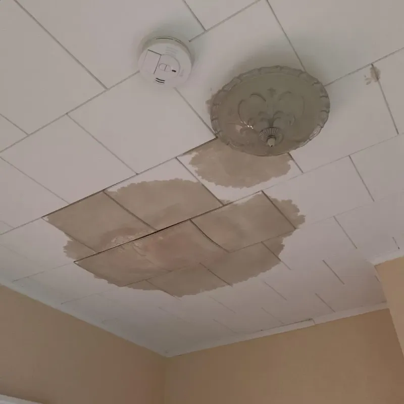 Ceiling Water Damage Repair in Fort Fairfield, ME
