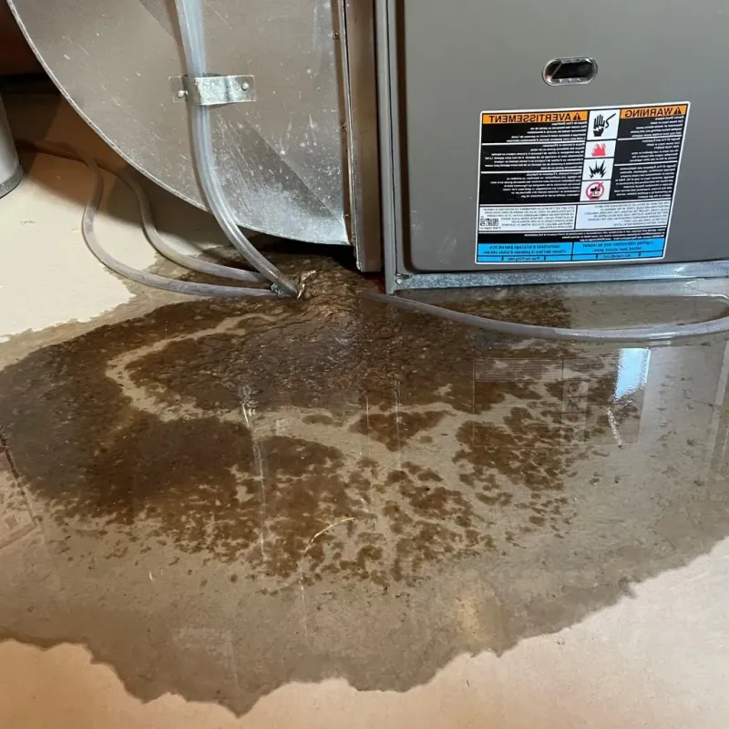 Pipe Burst and Leak Restoration in Fort Fairfield, ME